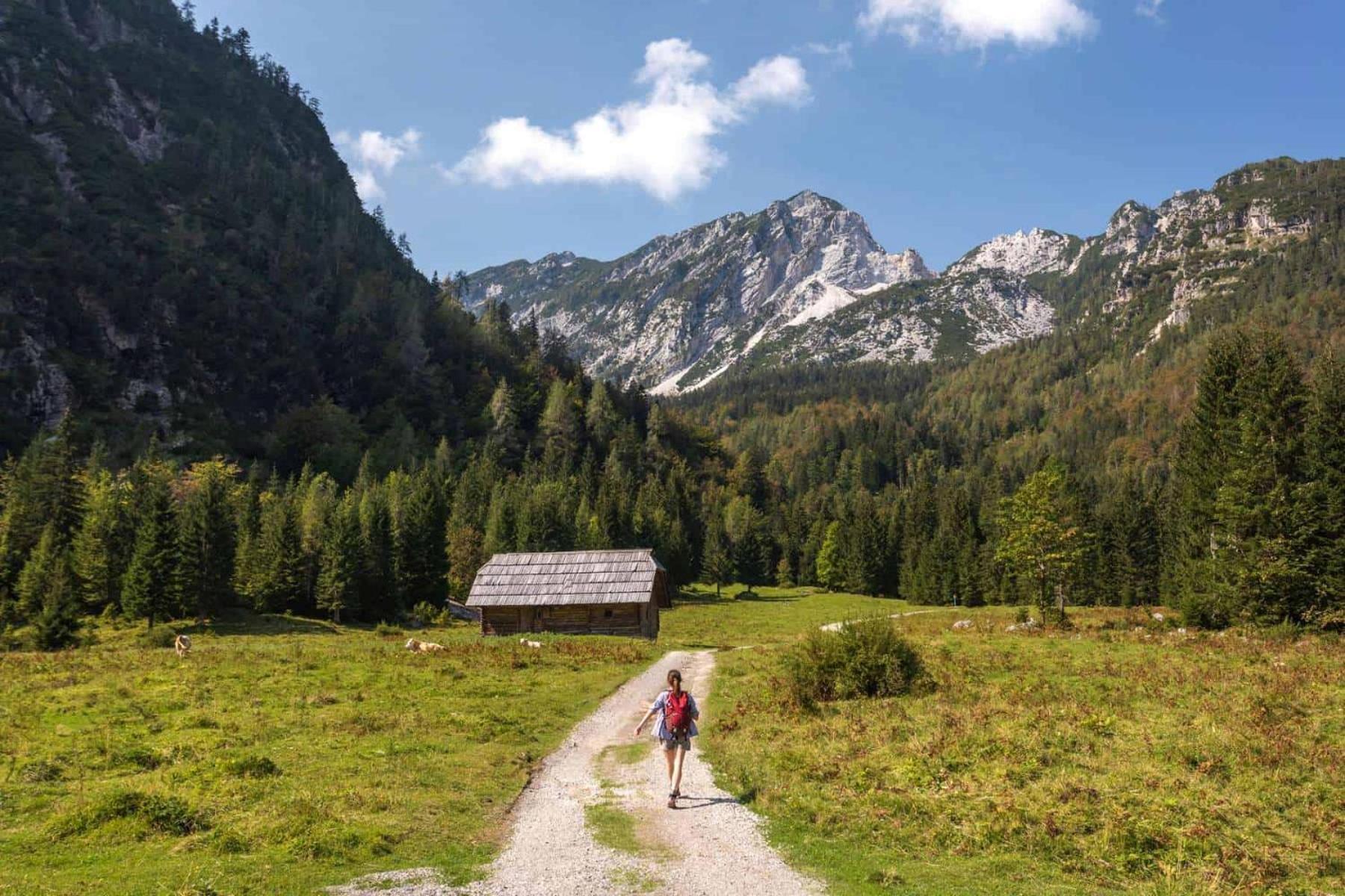 Sunny Retreat Apartment Kranjska Gora Eksteriør billede