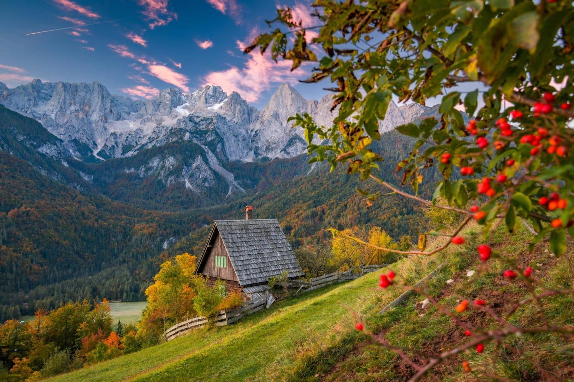 Sunny Retreat Apartment Kranjska Gora Eksteriør billede